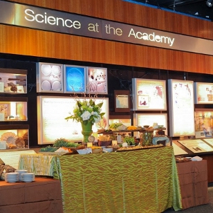 Art of Science Gallery